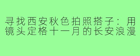 寻找西安秋色拍照搭子:用镜头定格十一月的长安浪漫