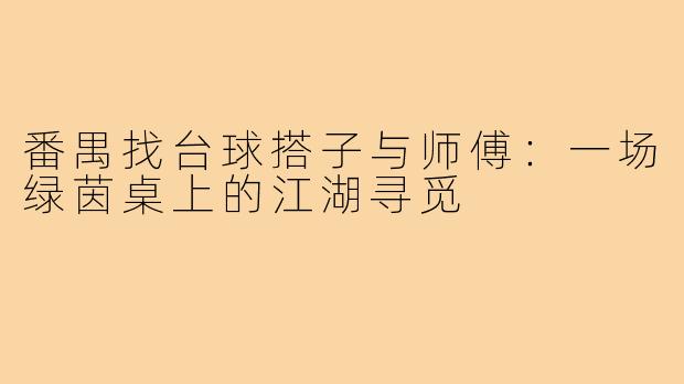 番禺找台球搭子与师傅：一场绿茵桌上的江湖寻觅