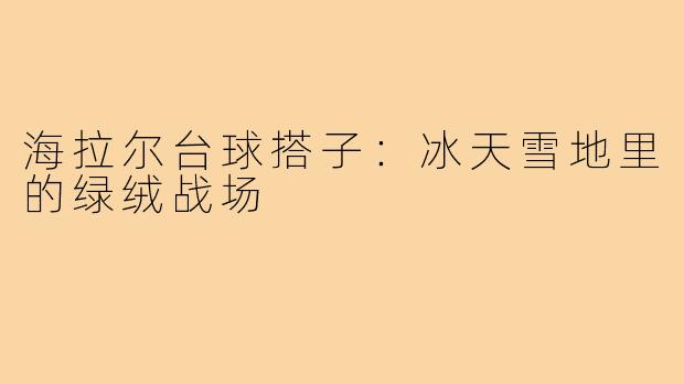 海拉尔台球搭子：冰天雪地里的绿绒战场