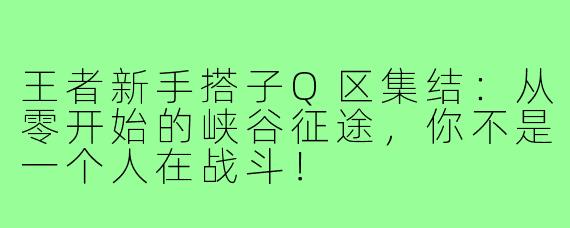 王者新手搭子Q区集结：从零开始的峡谷征途，你不是一个人在战斗！