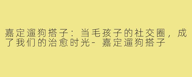 嘉定遛狗搭子:当毛孩子的社交圈,成了我们的治愈时光-嘉定遛狗搭子