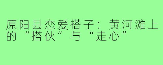 原阳县恋爱搭子：黄河滩上的“搭伙”与“走心”
