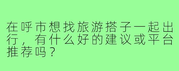 在呼市想找旅游搭子一起出行，有什么好的建议或平台推荐吗？
