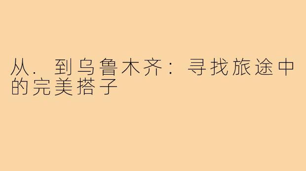 从.到乌鲁木齐：寻找旅途中的完美搭子