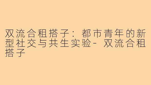 双流合租搭子：都市青年的新型社交与共生实验-双流合租搭子