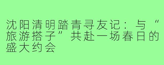 沈阳清明踏青寻友记：与“旅游搭子”共赴一场春日的盛大约会