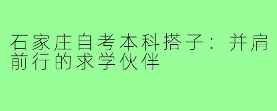 石家庄自考本科搭子：并肩前行的求学伙伴