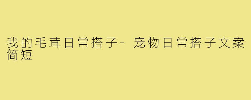 我的毛茸日常搭子-宠物日常搭子文案简短