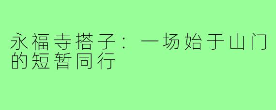 永福寺搭子：一场始于山门的短暂同行