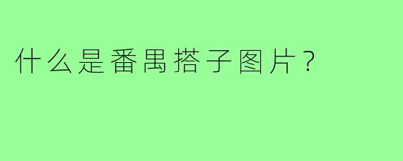 什么是番禺搭子图片？