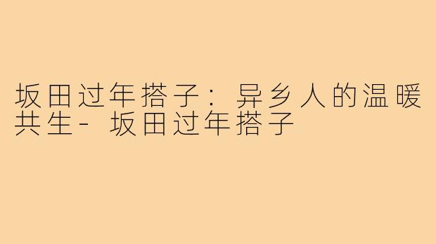 坂田过年搭子：异乡人的温暖共生-坂田过年搭子
