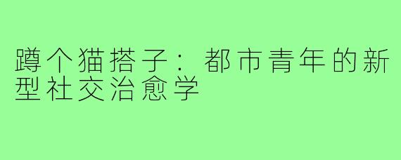 蹲个猫搭子：都市青年的新型社交治愈学