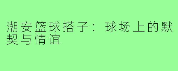 潮安篮球搭子：球场上的默契与情谊