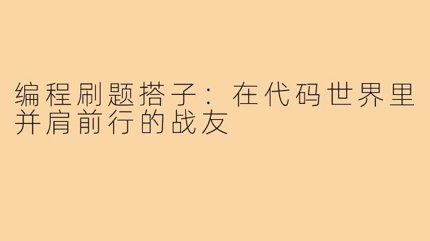 编程刷题搭子：在代码世界里并肩前行的战友