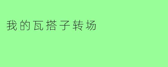 我的瓦搭子转场