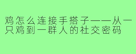 鸡怎么连接手搭子——从一只鸡到一群人的社交密码