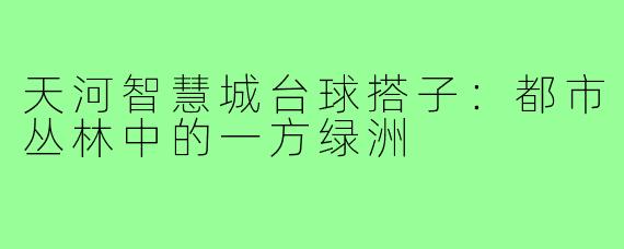 天河智慧城台球搭子:都市丛林中的一方绿洲