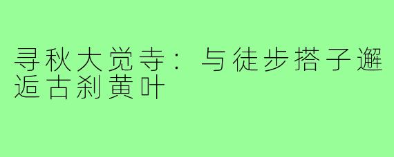 寻秋大觉寺:与徒步搭子邂逅古刹黄叶