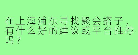 在上海浦东寻找聚会搭子，有什么好的建议或平台推荐吗？