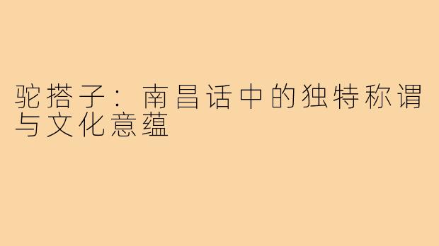 驼搭子：南昌话中的独特称谓与文化意蕴