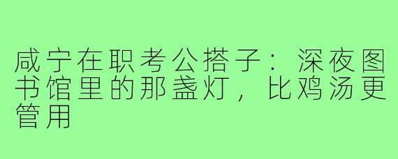 咸宁在职考公搭子：深夜图书馆里的那盏灯，比鸡汤更管用