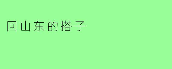 回山东的搭子