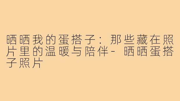 晒晒我的蛋搭子:那些藏在照片里的温暖与陪伴-晒晒蛋搭子照片