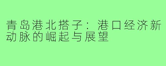 青岛港北搭子：港口经济新动脉的崛起与展望