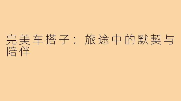 完美车搭子：旅途中的默契与陪伴