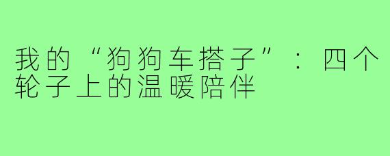 我的“狗狗车搭子”：四个轮子上的温暖陪伴