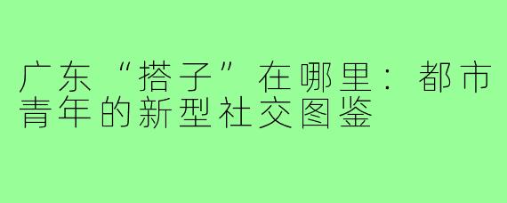 广东“搭子”在哪里：都市青年的新型社交图鉴