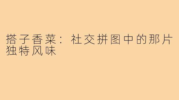 搭子香菜：社交拼图中的那片独特风味