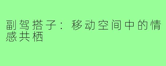 副驾搭子：移动空间中的情感共栖