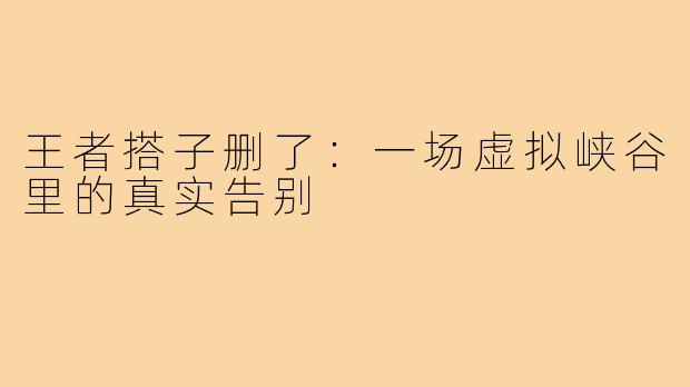 王者搭子删了:一场虚拟峡谷里的真实告别
