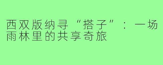 西双版纳寻“搭子”：一场雨林里的共享奇旅
