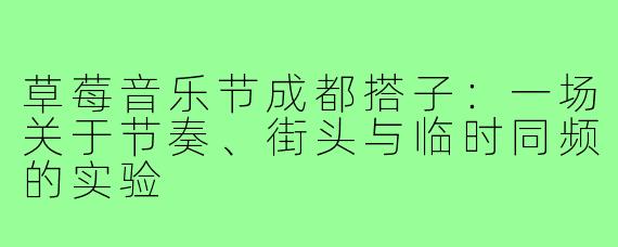 草莓音乐节成都搭子:一场关于节奏、街头与临时同频的实验