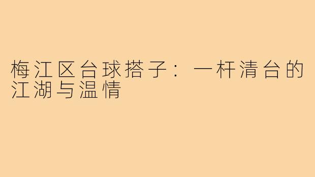 梅江区台球搭子：一杆清台的江湖与温情