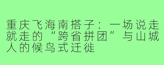 重庆飞海南搭子:一场说走就走的“跨省拼团”与山城人的候鸟式迁徙