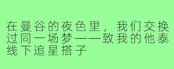 在曼谷的夜色里，我们交换过同一场梦——致我的他泰线下追星搭子