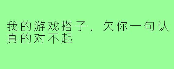我的游戏搭子，欠你一句认真的对不起
