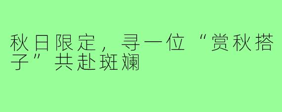秋日限定,寻一位“赏秋搭子”共赴斑斓