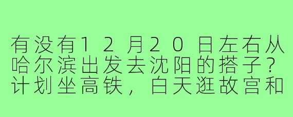 有没有12月20日左右从哈尔滨出发去沈阳的搭子？计划坐高铁，白天逛故宫和中街，晚上吃鸡架和烤肉，当天往返或者住一晚都行，求组队！