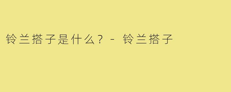 铃兰搭子是什么?-铃兰搭子