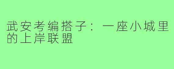 武安考编搭子:一座小城里的上岸联盟