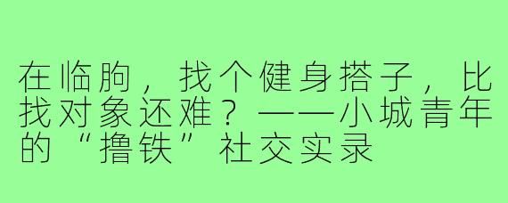 在临朐，找个健身搭子，比找对象还难？——小城青年的“撸铁”社交实录