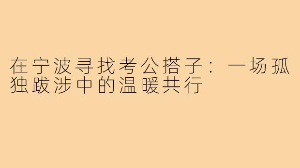 在宁波寻找考公搭子：一场孤独跋涉中的温暖共行