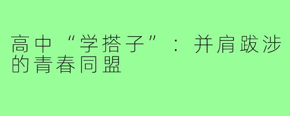 高中“学搭子”：并肩跋涉的青春同盟