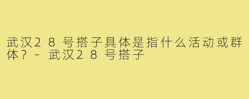 武汉28号搭子具体是指什么活动或群体？-武汉28号搭子