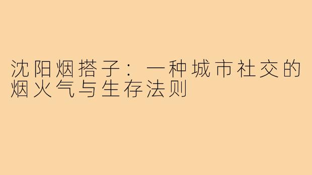 沈阳烟搭子:一种城市社交的烟火气与生存法则