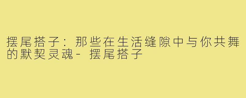 摆尾搭子:那些在生活缝隙中与你共舞的默契灵魂-摆尾搭子